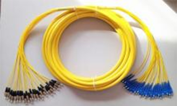 Branch Patch Cords