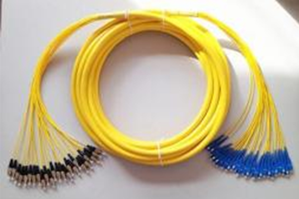 Branch Patch Cords